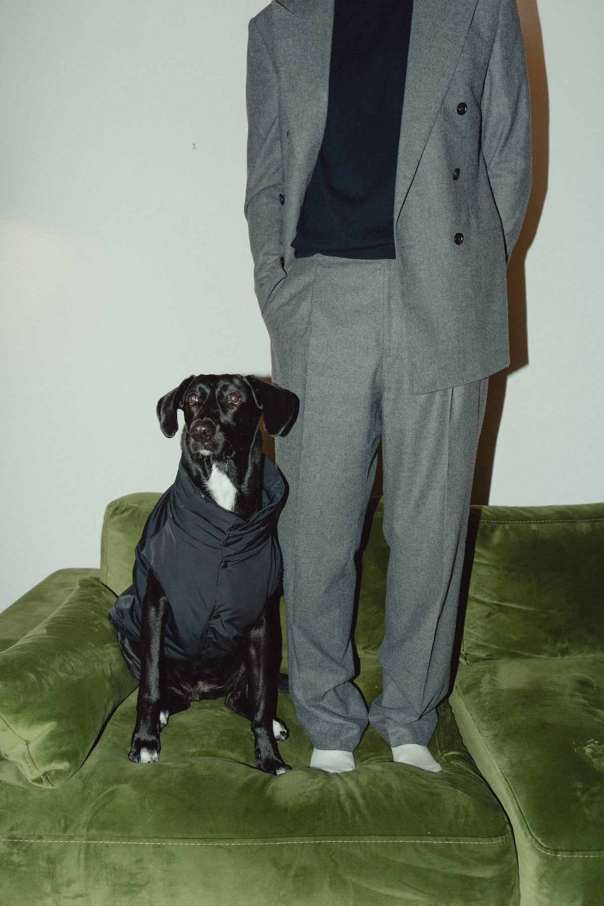 Ein schwarzer Hund in einem dunklen Regenmantel sitzt auf einem grünen Sofa neben seinem Menschen