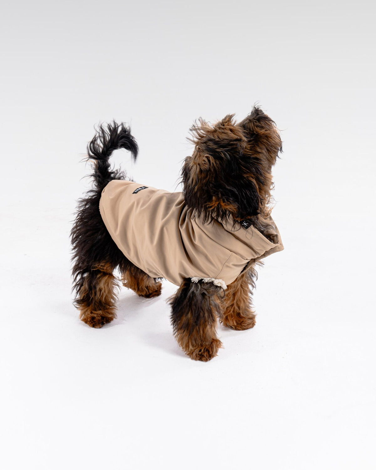 Bianca Vest in Camel, worn by a dog