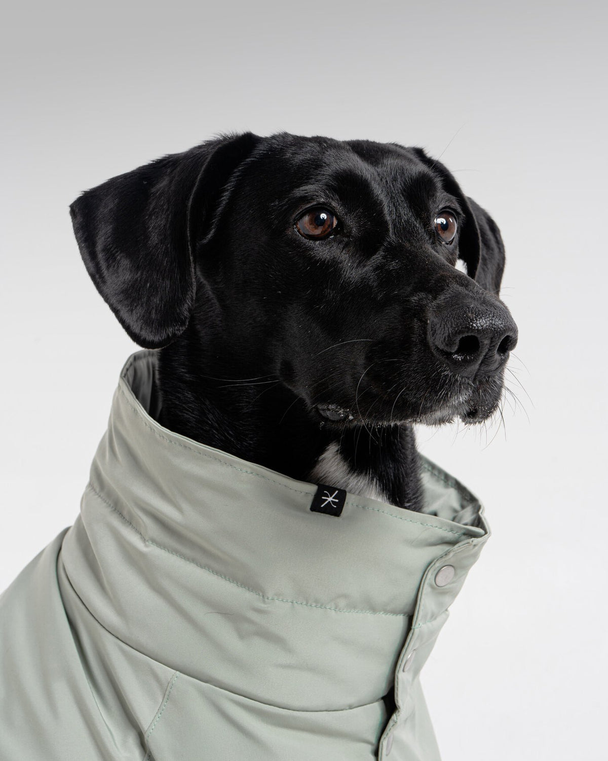 Bianca Vest in Mint, close-up detail