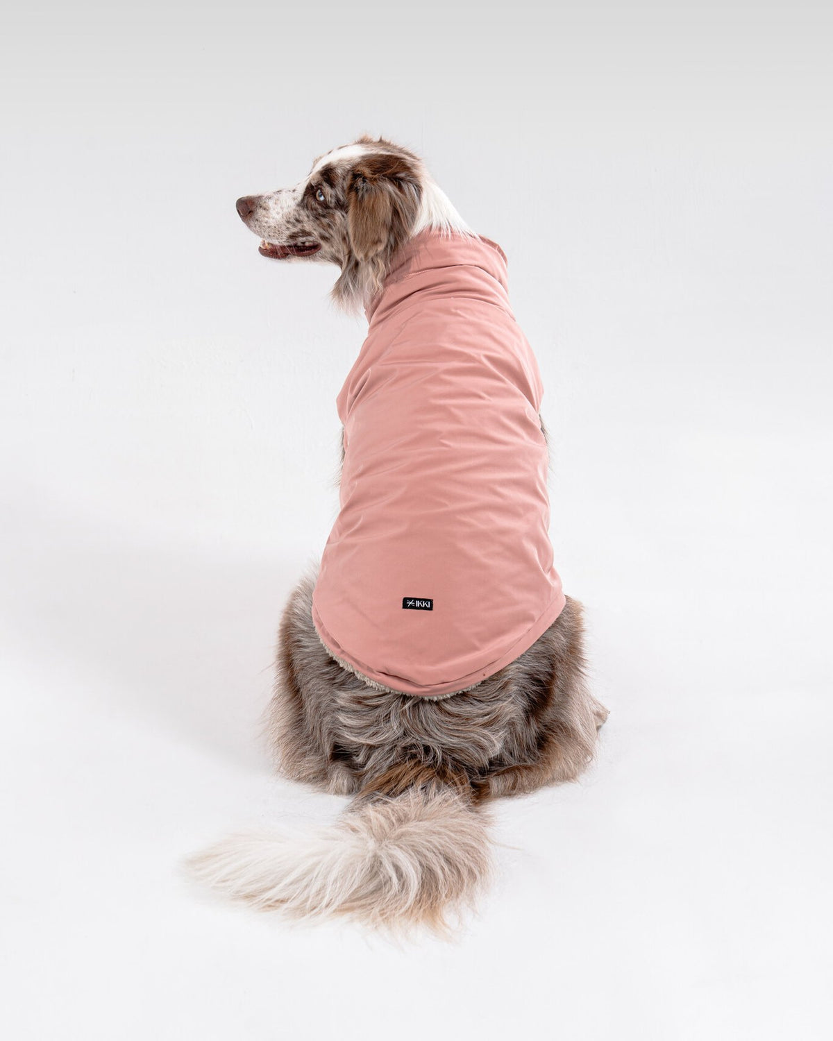 Bianca Vest in Rosewood, worn by a dog