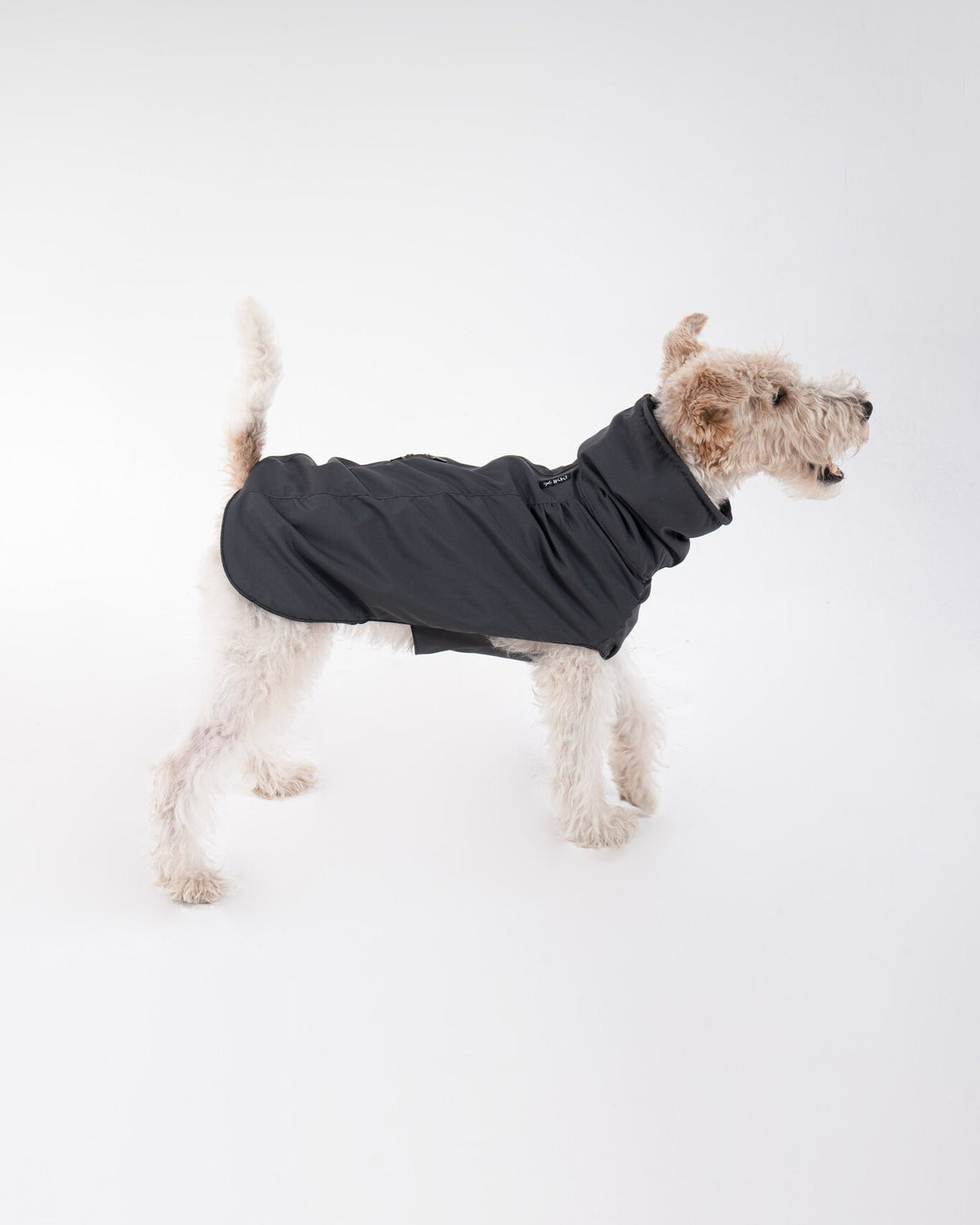 Helena Raincoat in Dusk-Black, side view on a dog