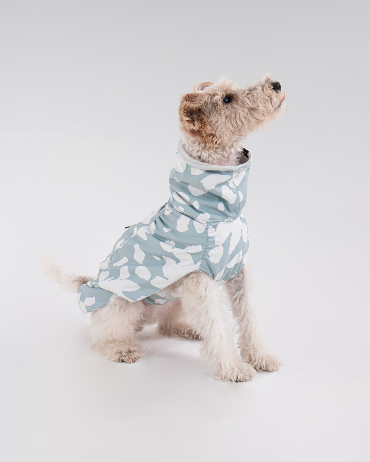 Helena Raincoat in Mint, side view on a dog