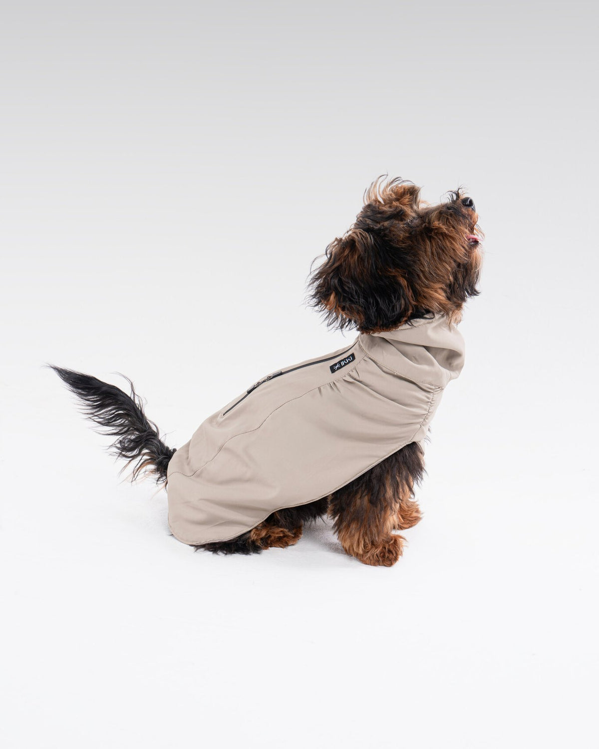 Helena Raincoat in Taupe, worn by a dog