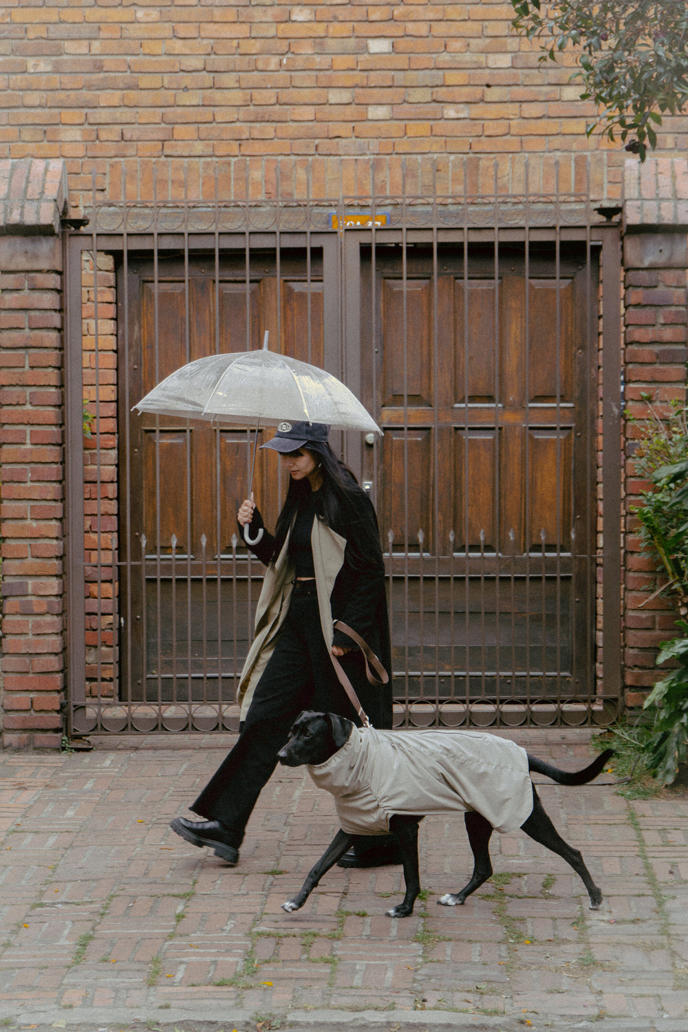 Walking under a clear umbrella with a black dog in the Helena Raincoat in Taupe
