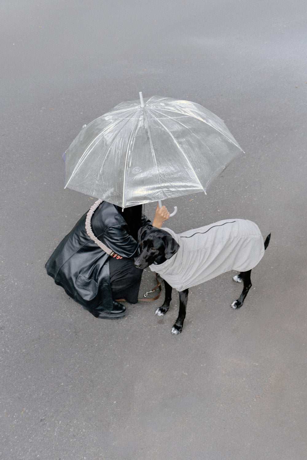 Seen from above: kneeling under a clear umbrella with a black dog in the Helena Raincoat in Taupe