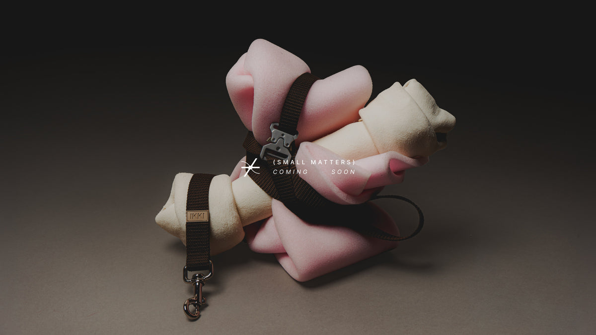 An Ikki leash and collar wrapped around a sculpture of pink foam and a cream bone. Small matters. Coming soon.