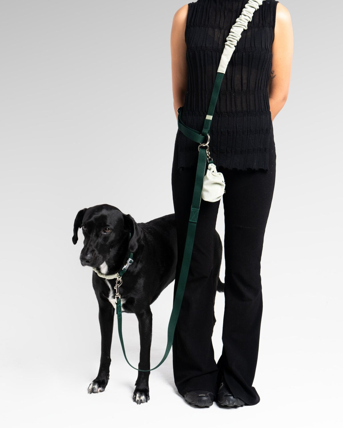 Noah Body Strap in Mint + Bottle Green, with a dog