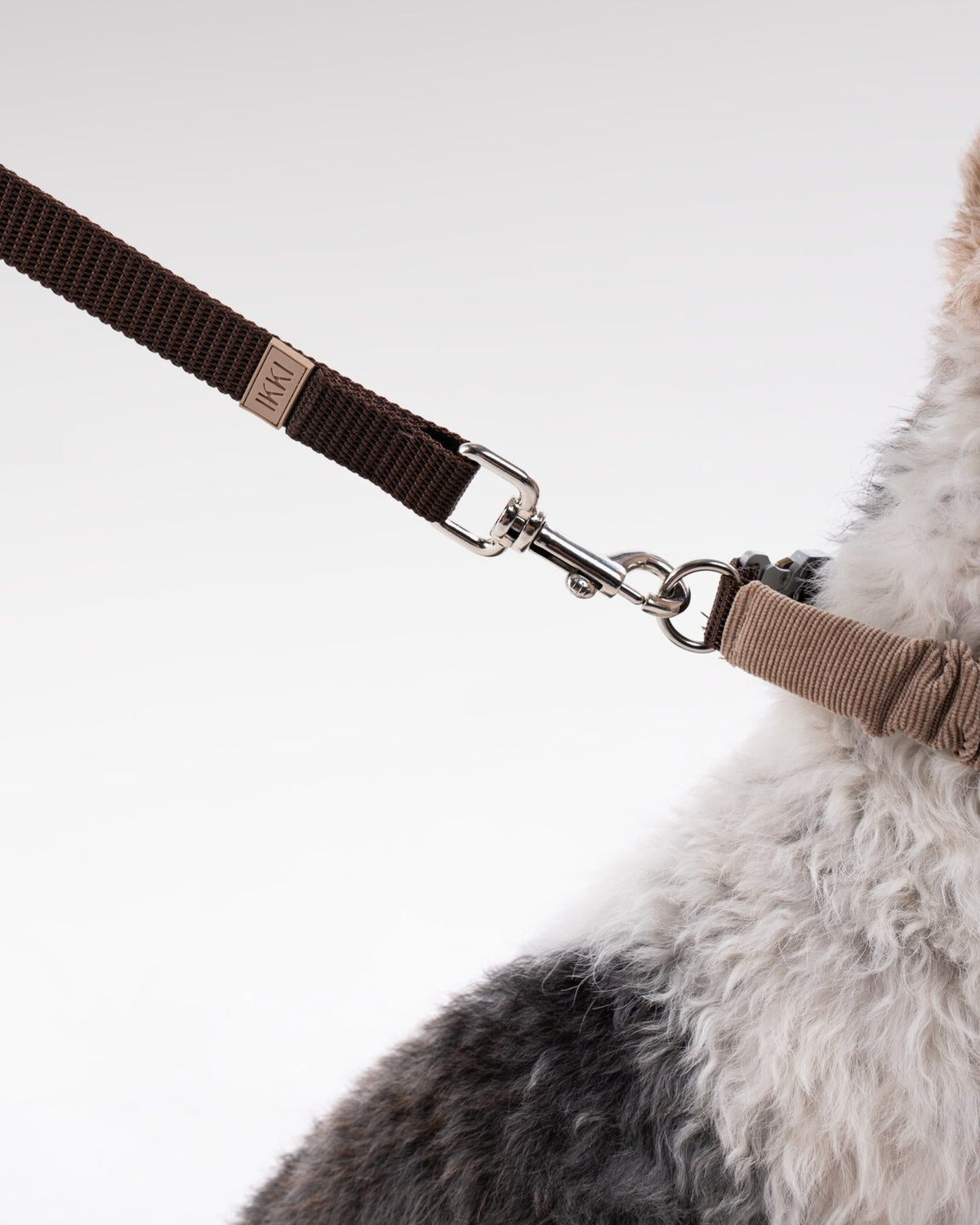 Noah Collar in Coffee, close-up detail