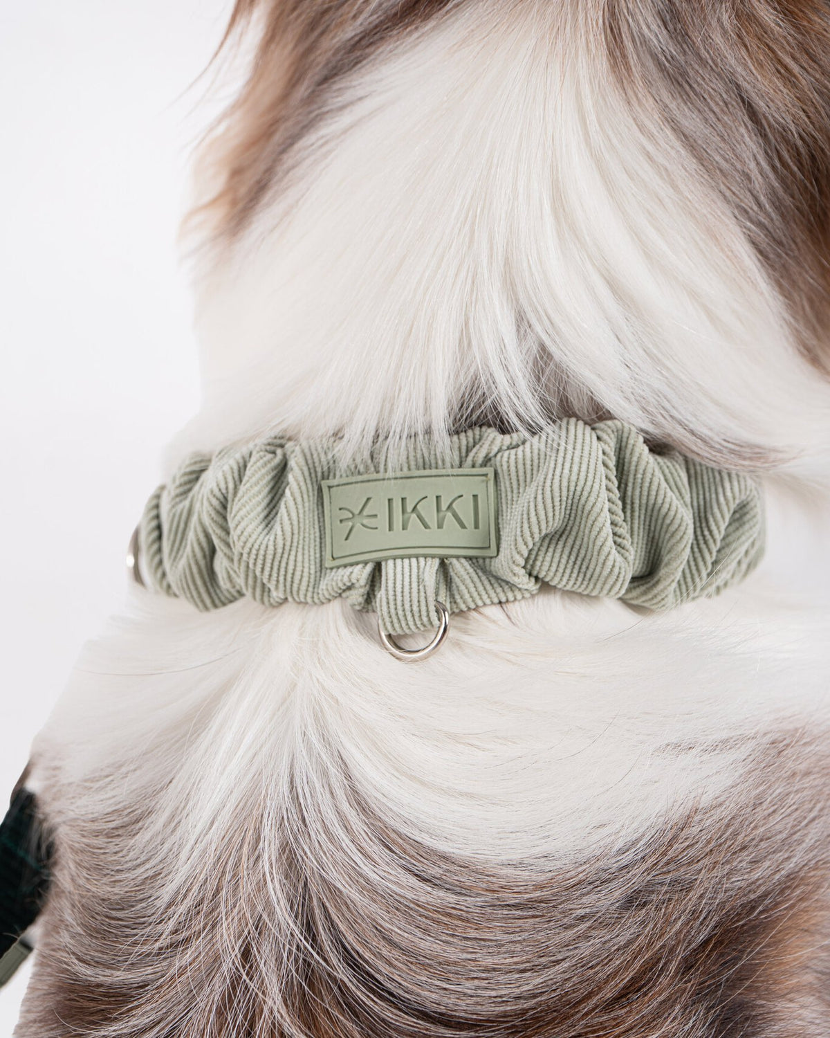 Noah Collar in Mint + Bottle Green, close-up detail