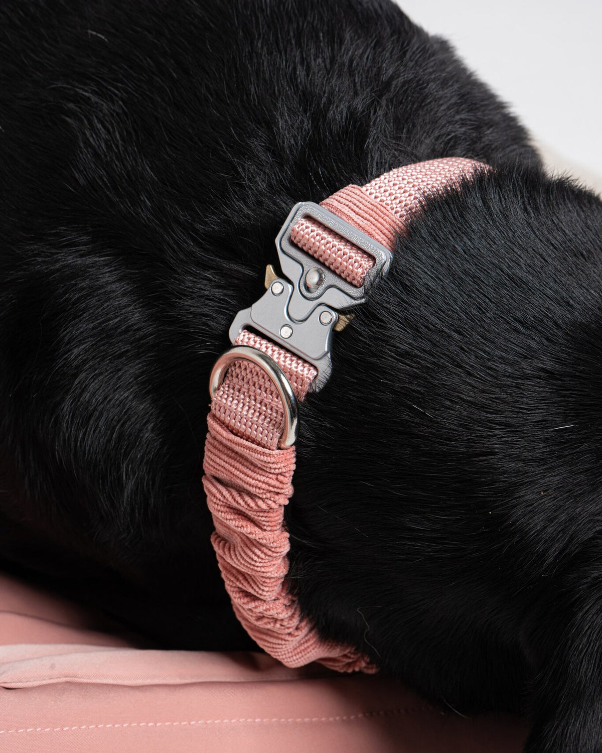 Noah Collar in Rosewood, close-up detail