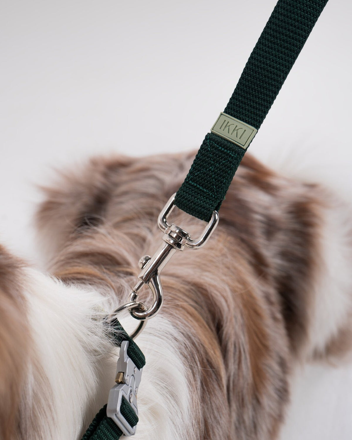 Noah Leash in Mint + Bottle Green, close-up detail