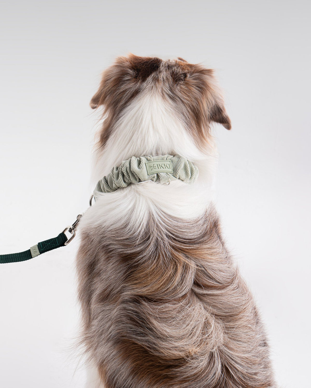 Noah Set in Mint + Bottle Green, with a dog